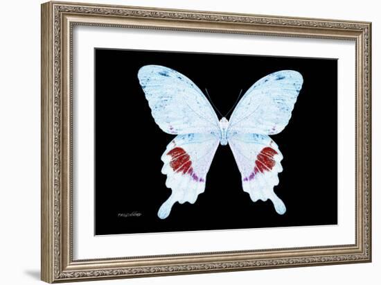 Miss Butterfly Hermosanus - X-Ray Black Edition-Philippe Hugonnard-Framed Photographic Print