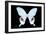 Miss Butterfly Hermosanus - X-Ray Black Edition-Philippe Hugonnard-Framed Photographic Print