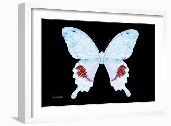 Miss Butterfly Hermosanus - X-Ray Black Edition-Philippe Hugonnard-Framed Photographic Print