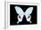 Miss Butterfly Hermosanus - X-Ray Black Edition-Philippe Hugonnard-Framed Photographic Print