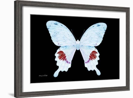 Miss Butterfly Hermosanus - X-Ray Black Edition-Philippe Hugonnard-Framed Photographic Print