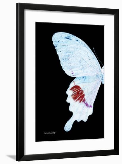 Miss Butterfly Hermosanus - X-Ray Left Black Edition-Philippe Hugonnard-Framed Photographic Print