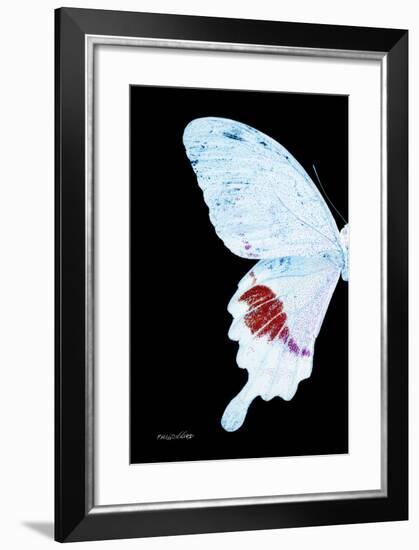 Miss Butterfly Hermosanus - X-Ray Left Black Edition-Philippe Hugonnard-Framed Photographic Print