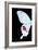 Miss Butterfly Hermosanus - X-Ray Left Black Edition-Philippe Hugonnard-Framed Photographic Print