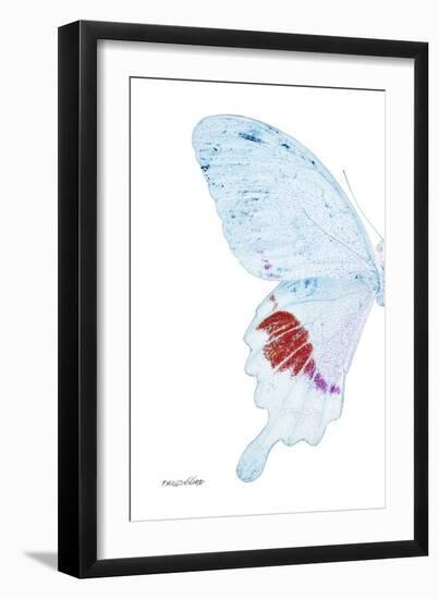 Miss Butterfly Hermosanus - X-Ray Left White Edition-Philippe Hugonnard-Framed Photographic Print
