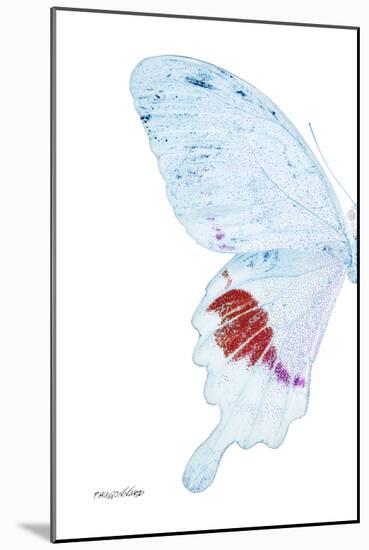 Miss Butterfly Hermosanus - X-Ray Left White Edition-Philippe Hugonnard-Mounted Photographic Print