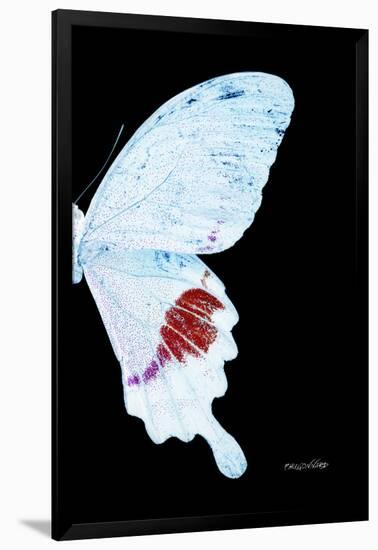 Miss Butterfly Hermosanus - X-Ray Right Black Edition-Philippe Hugonnard-Framed Photographic Print