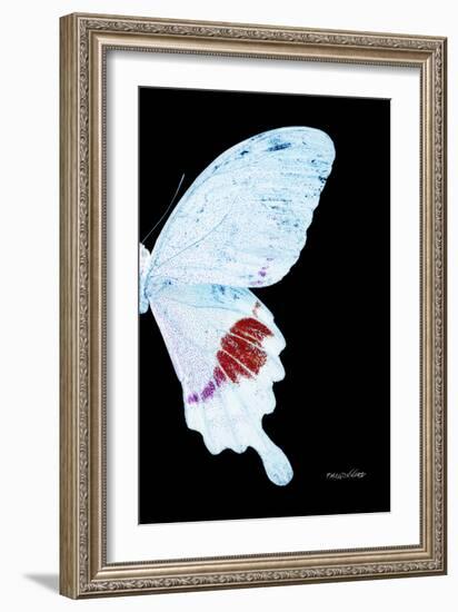 Miss Butterfly Hermosanus - X-Ray Right Black Edition-Philippe Hugonnard-Framed Photographic Print