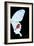 Miss Butterfly Hermosanus - X-Ray Right Black Edition-Philippe Hugonnard-Framed Photographic Print