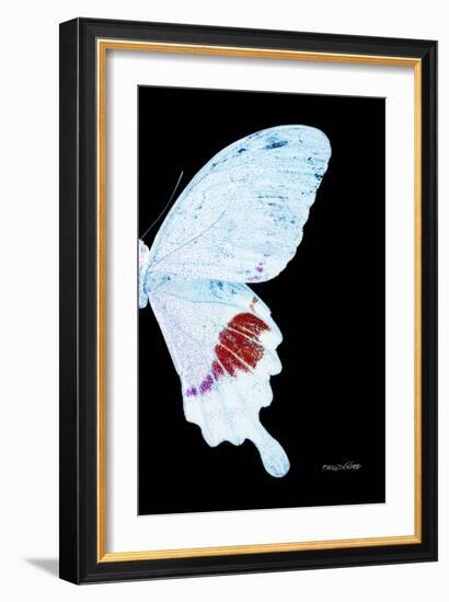 Miss Butterfly Hermosanus - X-Ray Right Black Edition-Philippe Hugonnard-Framed Photographic Print