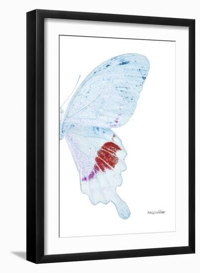 Miss Butterfly Hermosanus - X-Ray Right White Edition-Philippe Hugonnard-Framed Photographic Print