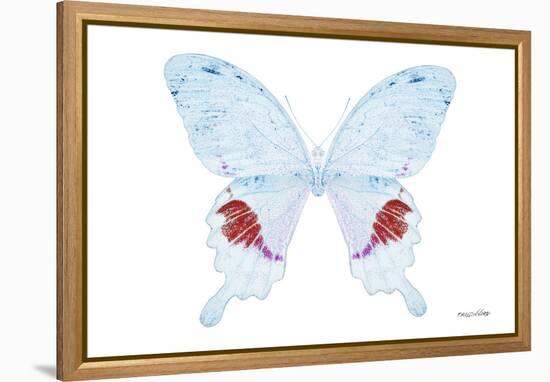 Miss Butterfly Hermosanus - X-Ray White Edition-Philippe Hugonnard-Framed Premier Image Canvas