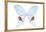 Miss Butterfly Hermosanus - X-Ray White Edition-Philippe Hugonnard-Framed Premier Image Canvas