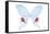 Miss Butterfly Hermosanus - X-Ray White Edition-Philippe Hugonnard-Framed Premier Image Canvas