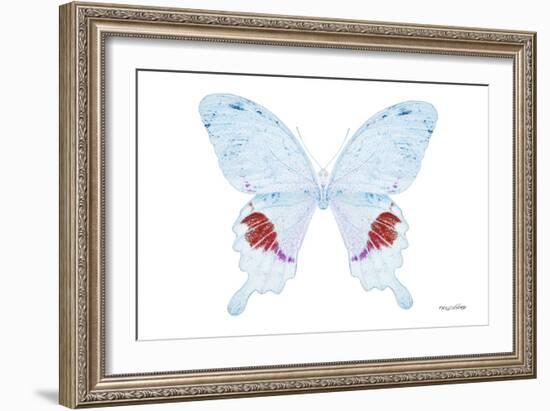 Miss Butterfly Hermosanus - X-Ray White Edition-Philippe Hugonnard-Framed Photographic Print