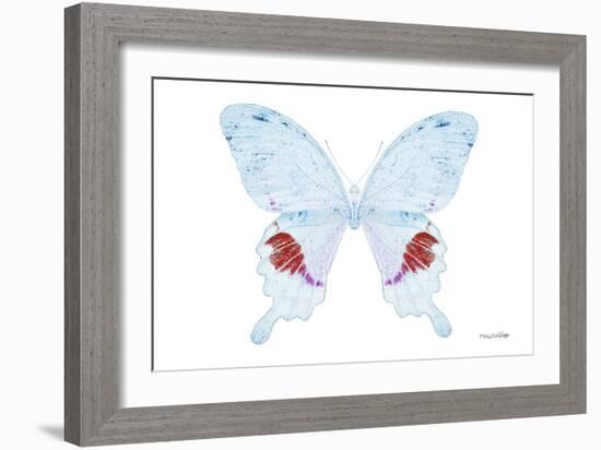 Miss Butterfly Hermosanus - X-Ray White Edition-Philippe Hugonnard-Framed Photographic Print