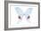 Miss Butterfly Hermosanus - X-Ray White Edition-Philippe Hugonnard-Framed Photographic Print