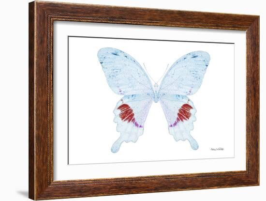 Miss Butterfly Hermosanus - X-Ray White Edition-Philippe Hugonnard-Framed Photographic Print