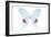 Miss Butterfly Hermosanus - X-Ray White Edition-Philippe Hugonnard-Framed Photographic Print