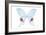 Miss Butterfly Hermosanus - X-Ray White Edition-Philippe Hugonnard-Framed Photographic Print