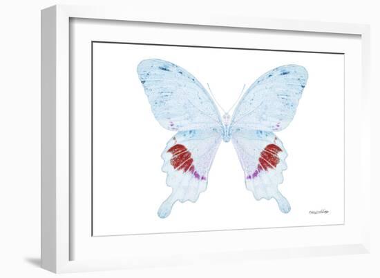 Miss Butterfly Hermosanus - X-Ray White Edition-Philippe Hugonnard-Framed Photographic Print