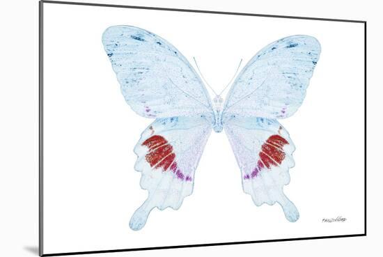 Miss Butterfly Hermosanus - X-Ray White Edition-Philippe Hugonnard-Mounted Photographic Print