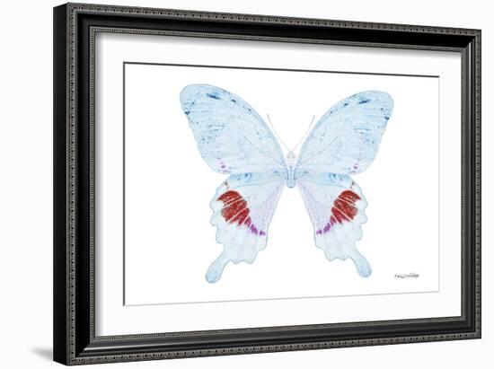 Miss Butterfly Hermosanus - X-Ray White Edition-Philippe Hugonnard-Framed Photographic Print