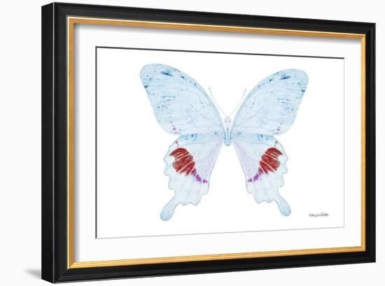 Miss Butterfly Hermosanus - X-Ray White Edition-Philippe Hugonnard-Framed Photographic Print