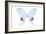 Miss Butterfly Hermosanus - X-Ray White Edition-Philippe Hugonnard-Framed Photographic Print