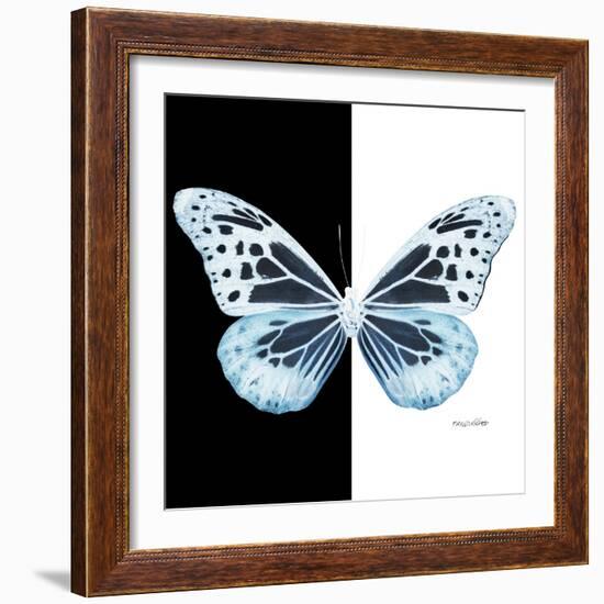 Miss Butterfly Melaneus Sq - X-Ray B&W Edition-Philippe Hugonnard-Framed Photographic Print