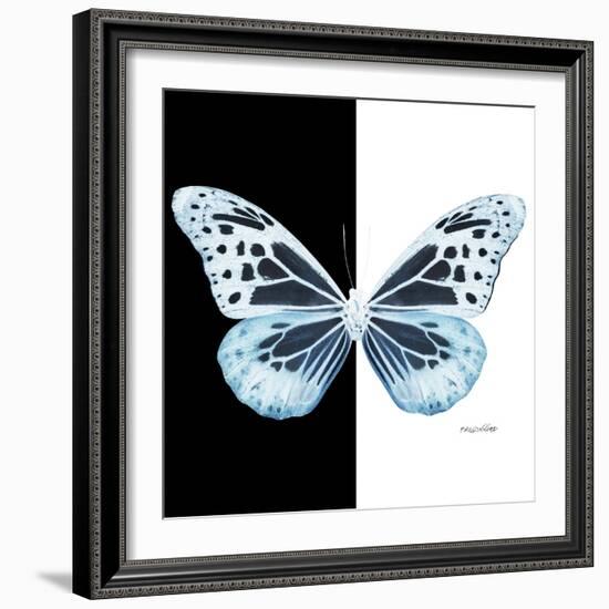 Miss Butterfly Melaneus Sq - X-Ray B&W Edition-Philippe Hugonnard-Framed Photographic Print