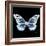 Miss Butterfly Melaneus Sq - X-Ray Black Edition-Philippe Hugonnard-Framed Photographic Print