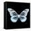 Miss Butterfly Melaneus Sq - X-Ray Black Edition-Philippe Hugonnard-Framed Stretched Canvas