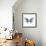 Miss Butterfly Melaneus Sq - X-Ray White Edition-Philippe Hugonnard-Framed Photographic Print displayed on a wall