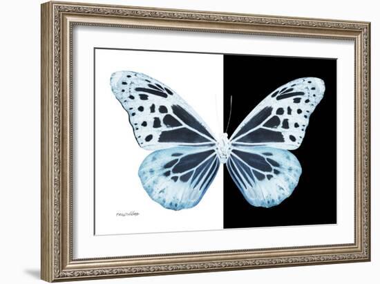 Miss Butterfly Melaneus - X-Ray B&W Edition-Philippe Hugonnard-Framed Photographic Print