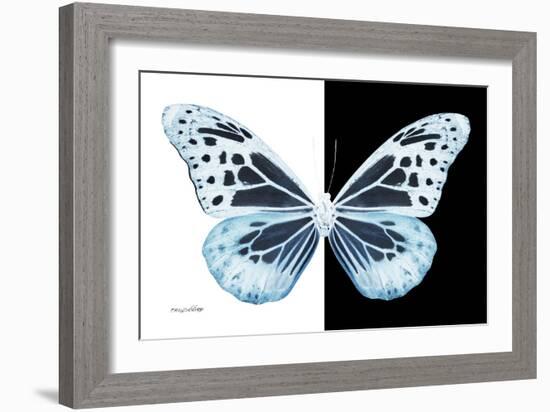 Miss Butterfly Melaneus - X-Ray B&W Edition-Philippe Hugonnard-Framed Photographic Print