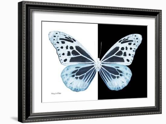 Miss Butterfly Melaneus - X-Ray B&W Edition-Philippe Hugonnard-Framed Photographic Print