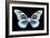 Miss Butterfly Melaneus - X-Ray Black Edition-Philippe Hugonnard-Framed Photographic Print