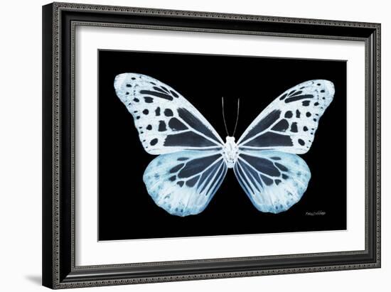 Miss Butterfly Melaneus - X-Ray Black Edition-Philippe Hugonnard-Framed Photographic Print