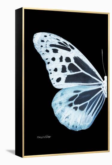 Miss Butterfly Melaneus - X-Ray Left Black Edition-Philippe Hugonnard-Framed Premier Image Canvas