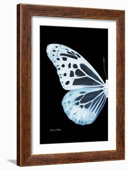 Miss Butterfly Melaneus - X-Ray Left Black Edition-Philippe Hugonnard-Framed Photographic Print
