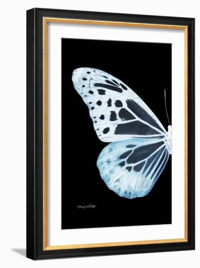 Miss Butterfly Melaneus - X-Ray Left Black Edition-Philippe Hugonnard-Framed Photographic Print