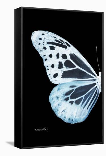 Miss Butterfly Melaneus - X-Ray Left Black Edition-Philippe Hugonnard-Framed Stretched Canvas