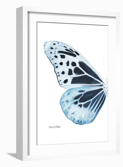 Miss Butterfly Melaneus - X-Ray Left White Edition-Philippe Hugonnard-Framed Photographic Print