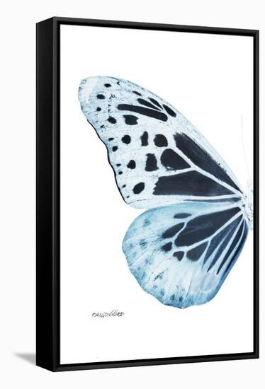 Miss Butterfly Melaneus - X-Ray Left White Edition-Philippe Hugonnard-Framed Stretched Canvas