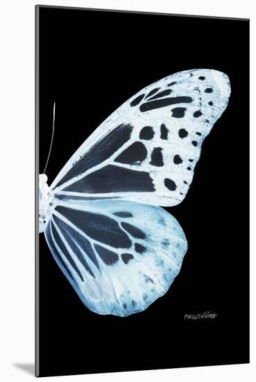 Miss Butterfly Melaneus - X-Ray Right Black Edition-Philippe Hugonnard-Mounted Photographic Print