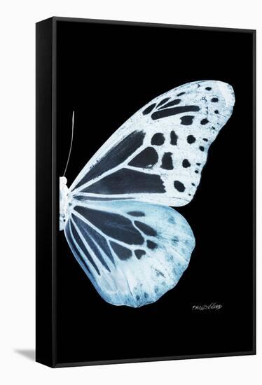 Miss Butterfly Melaneus - X-Ray Right Black Edition-Philippe Hugonnard-Framed Stretched Canvas