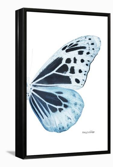 Miss Butterfly Melaneus - X-Ray Right White Edition-Philippe Hugonnard-Framed Premier Image Canvas