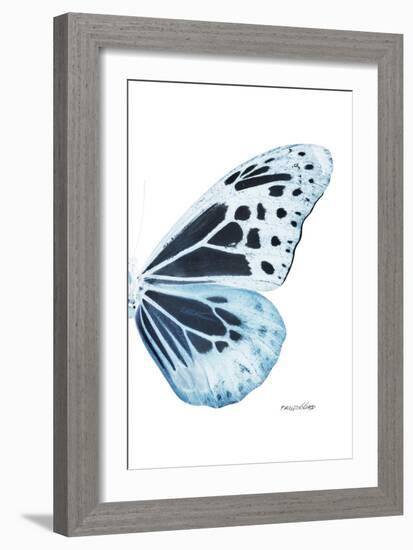 Miss Butterfly Melaneus - X-Ray Right White Edition-Philippe Hugonnard-Framed Photographic Print