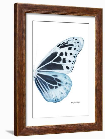 Miss Butterfly Melaneus - X-Ray Right White Edition-Philippe Hugonnard-Framed Photographic Print